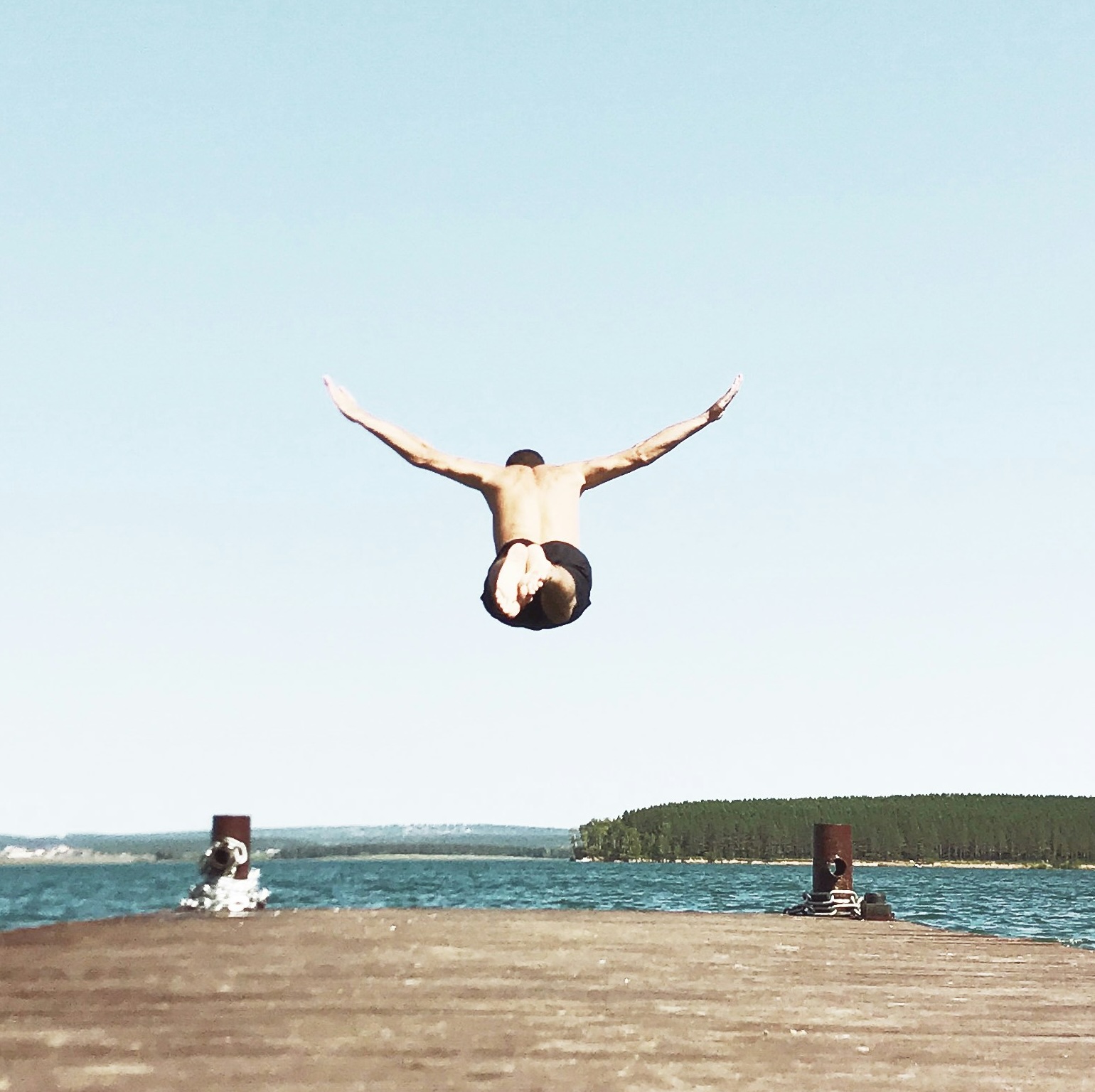 dive into your liveliness!